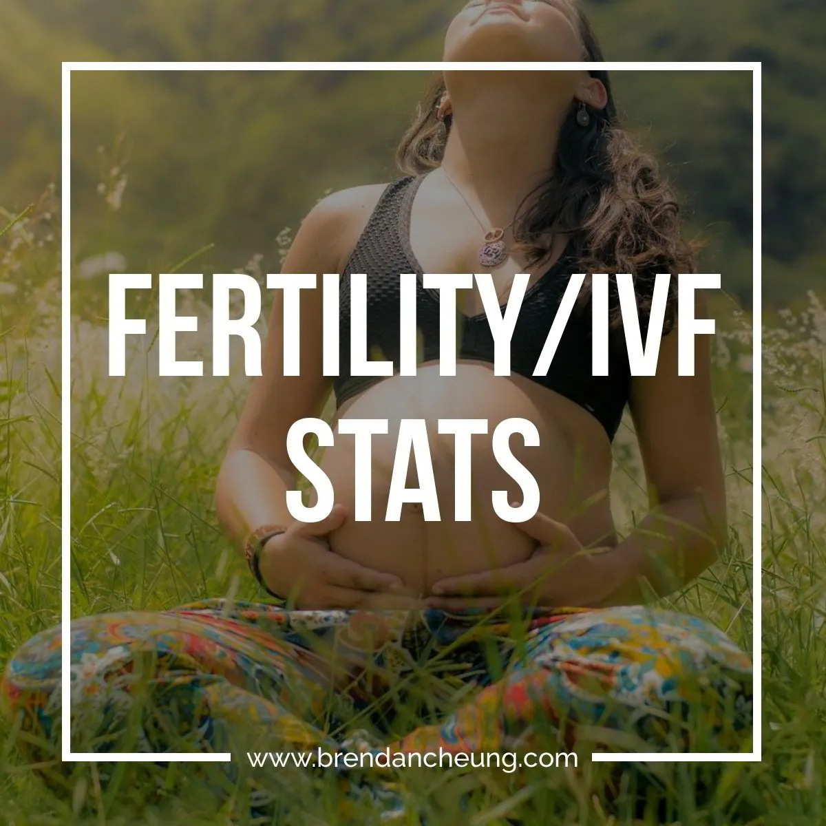 A Look At Fertility/IVF Rates (Updated!)