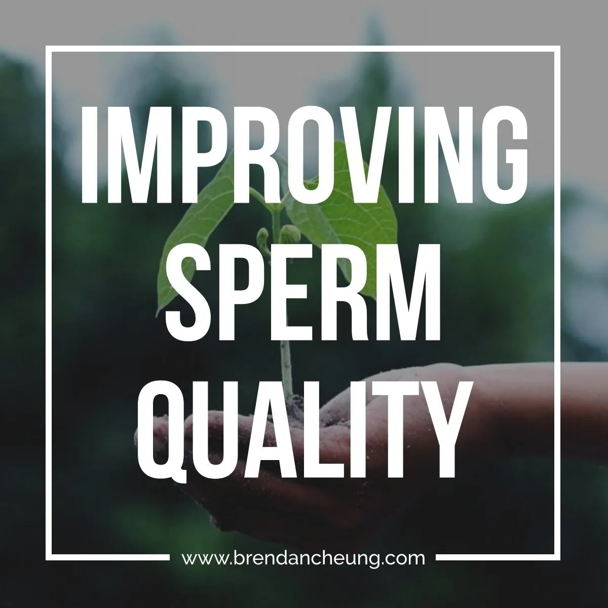 Improving Sperm Quality