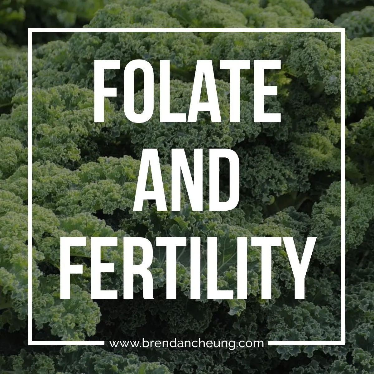 Folic Acid and Fertility/Pregnancy 