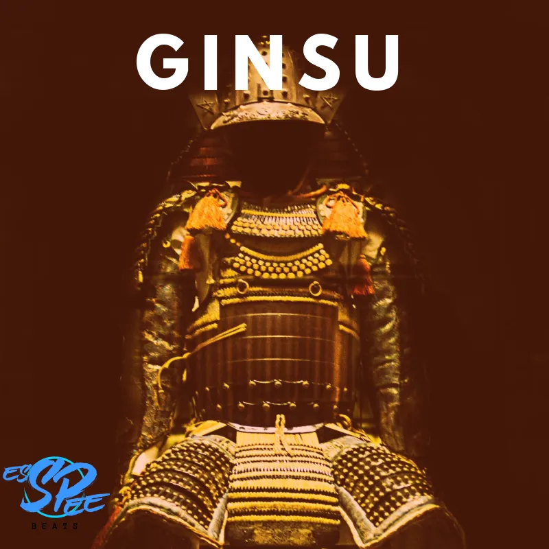 GINSU (Standard License)