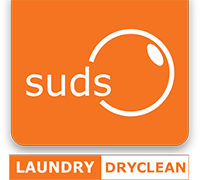 dreamlaundrybusiness.pro logo