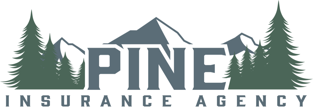 Pine Ridge Insurance Dashboard