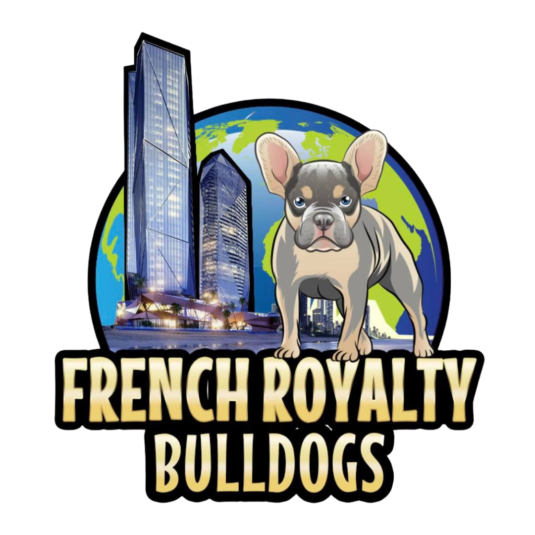 frenchroyaltybulldogs