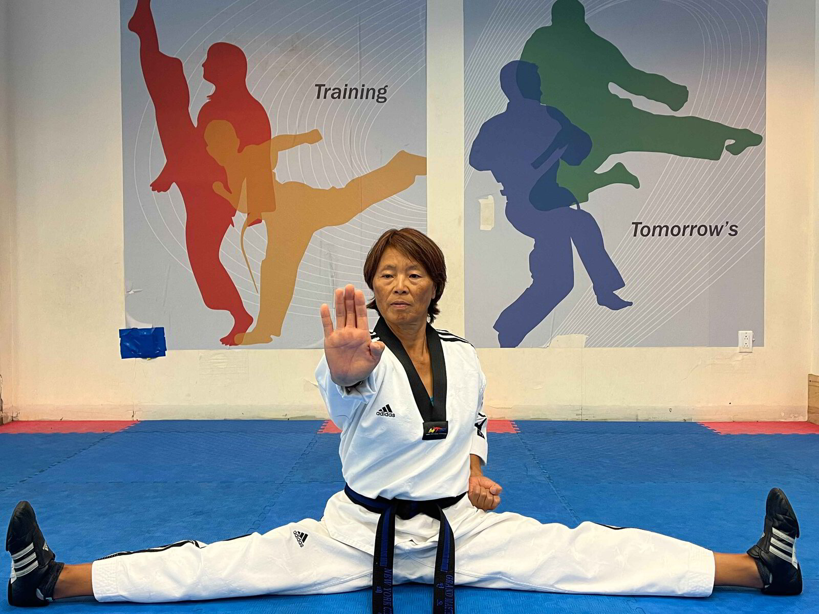 About Us New York City Taekwondo