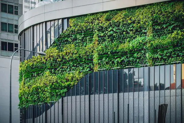 Green building covered with vegetation