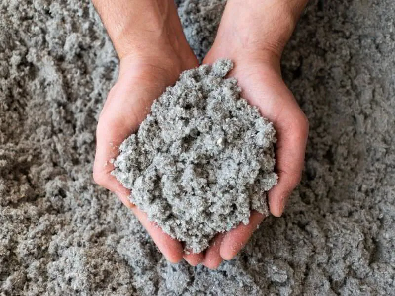 handful of cellulose insulation