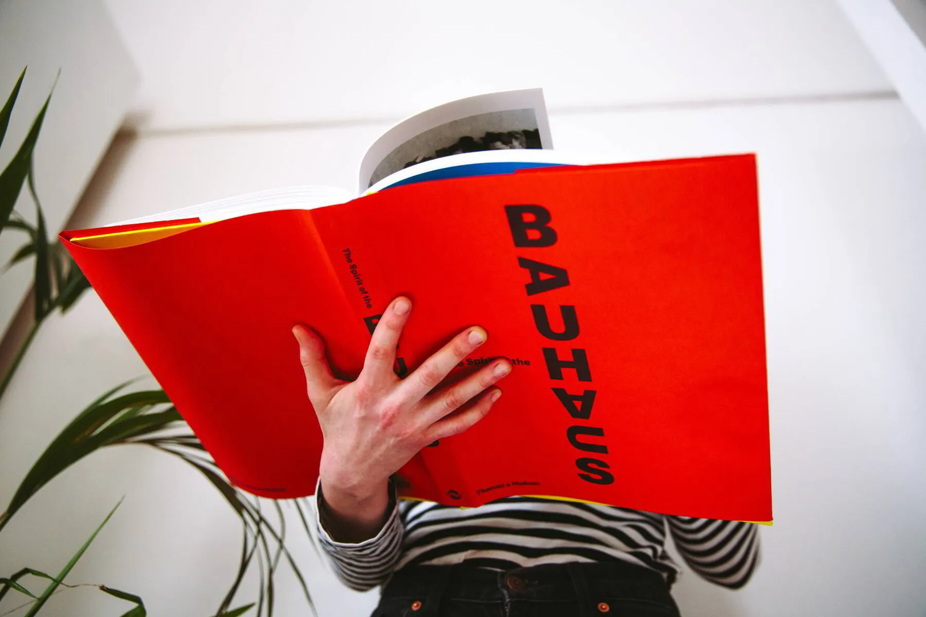 Bauhaus design book