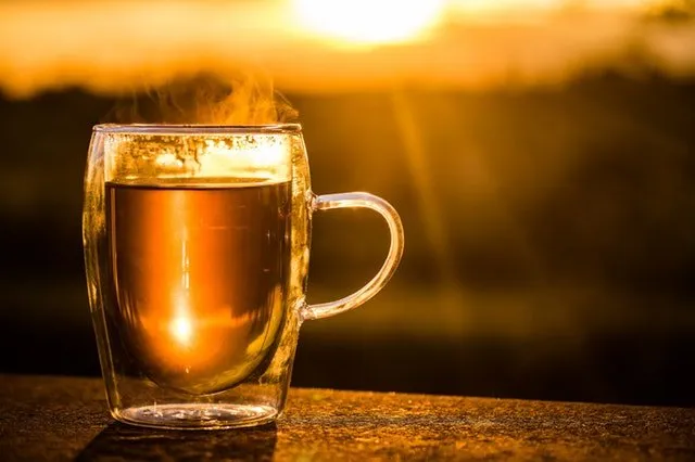 The Amazing Powers of Nettle Tea