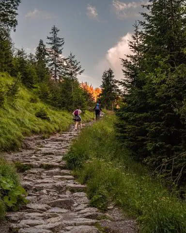 couple hiking up a hill at sunset