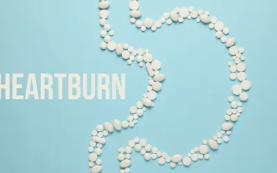 END HEARTBURN AND GERD THE NATURAL WAY