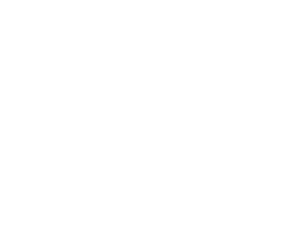 El Mejor Contractor LLC