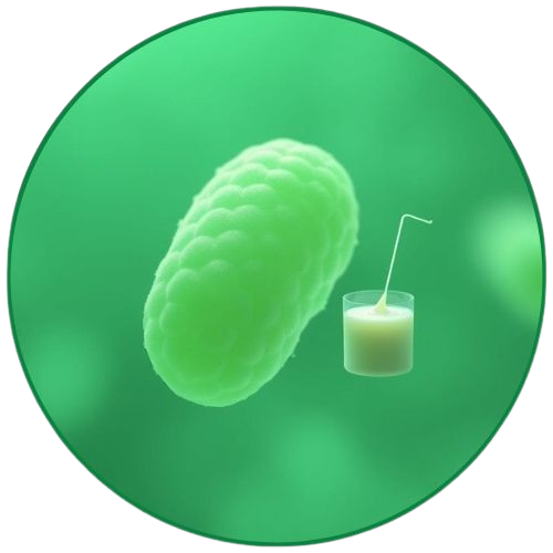 Ingredient 5