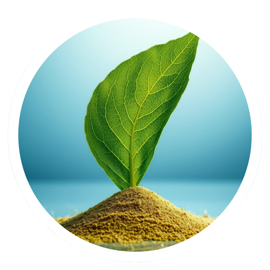 Nori Yaki Extract Powder