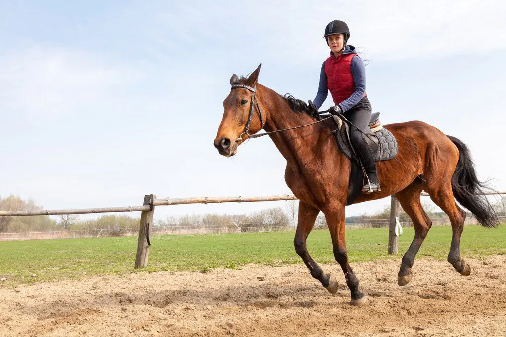 Outdoor Recreational Activities You Must Try With Your Loved Ones