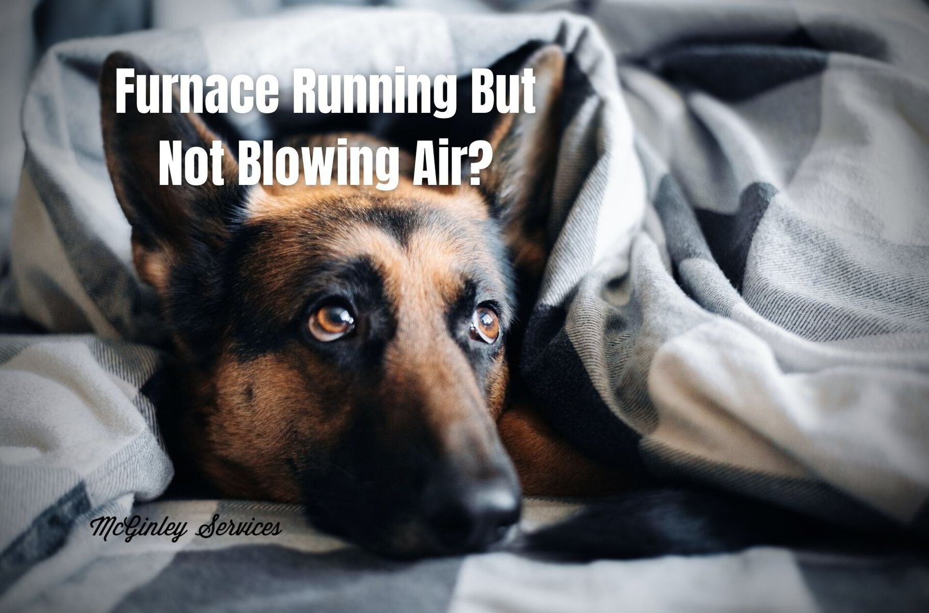 Furnace Running But Not Blowing Air? Expert Tips From McGinley Services