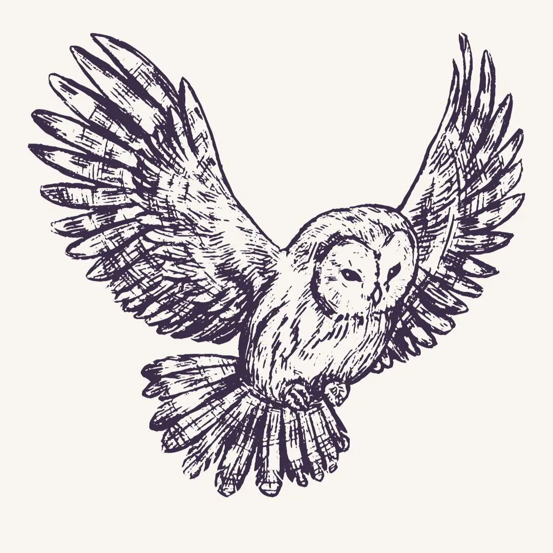 owl- power animal- shaman energy medicine