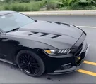 Carbon Fiber Hood for Ford Mustang 2015-2022 | Lightweight Engine Cover | Aerodynamic Upgrade