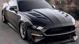 Carbon Fiber Hood for Ford Mustang 2015-2022 | Lightweight Engine Cover | Aerodynamic Upgrade