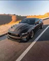 Tom Auto Carbon Fiber AC Style Radiator Cover for Ford Mustang GT 2018-2023 | Front Engine Valve Cover | Real Carbon Fiber