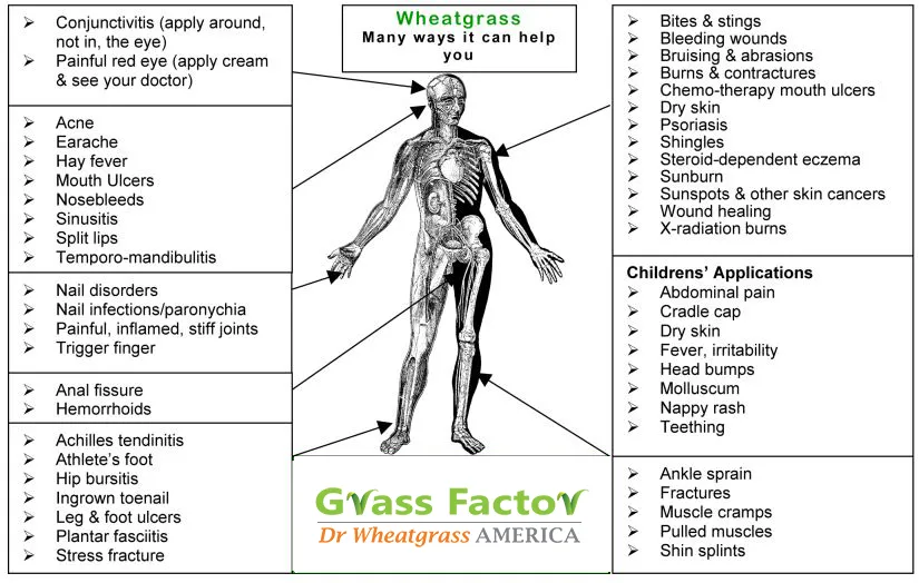 Theraputic Uses of Wheatgrass extract