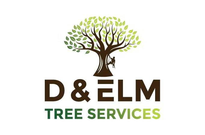 D&ELM TREE SERVICES