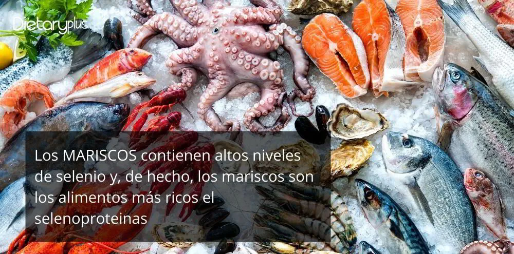 El selenio el marisco y el tiroides