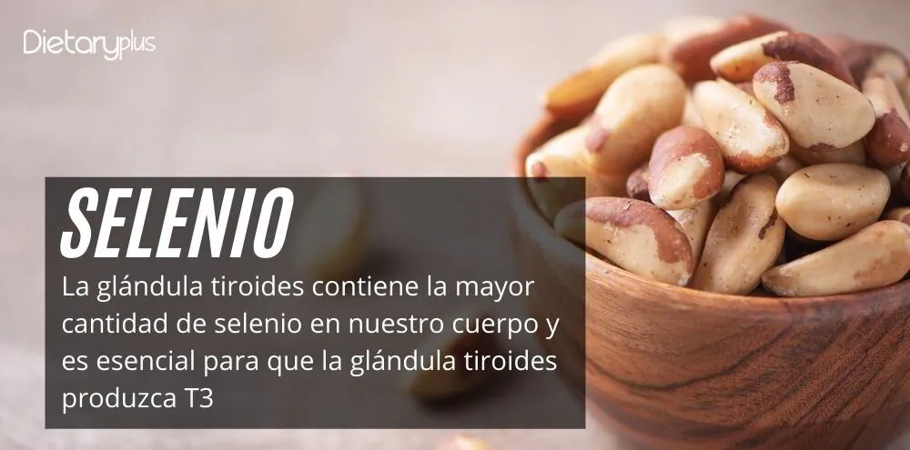 El selenio y el tiroides