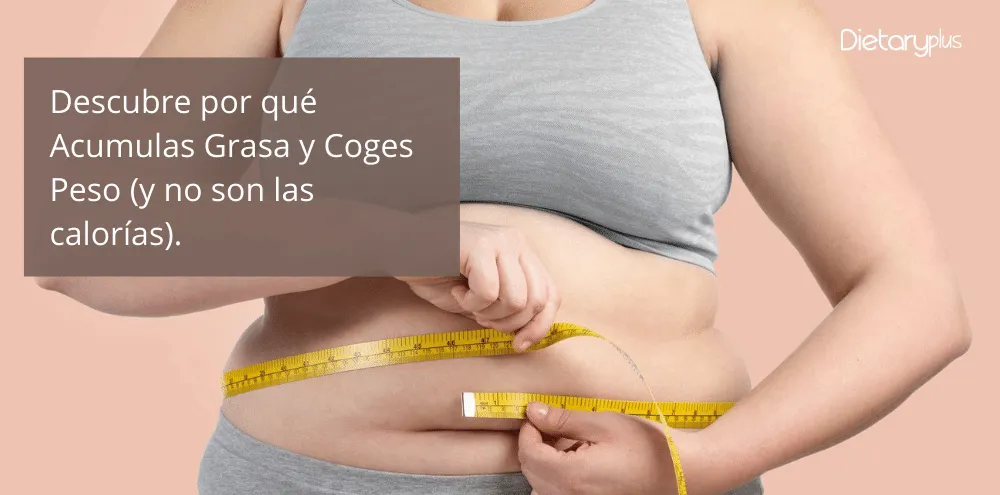 Descubre por qué Acumulas Grasa y Coges Peso (y no son las calorías).
