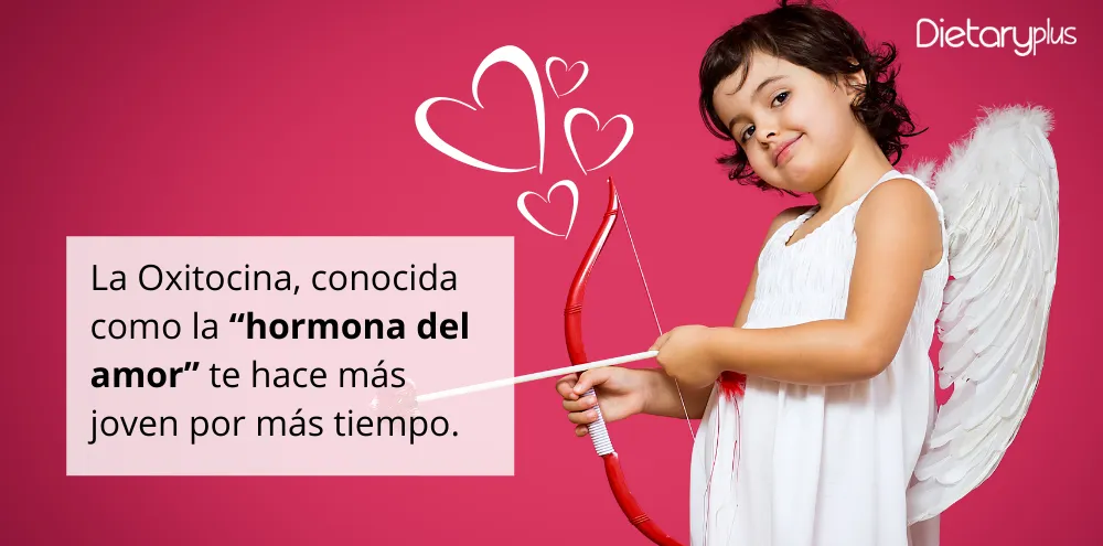 La Oxitocina, conocida como la “hormona del amor” te hace más joven por más tiempo.