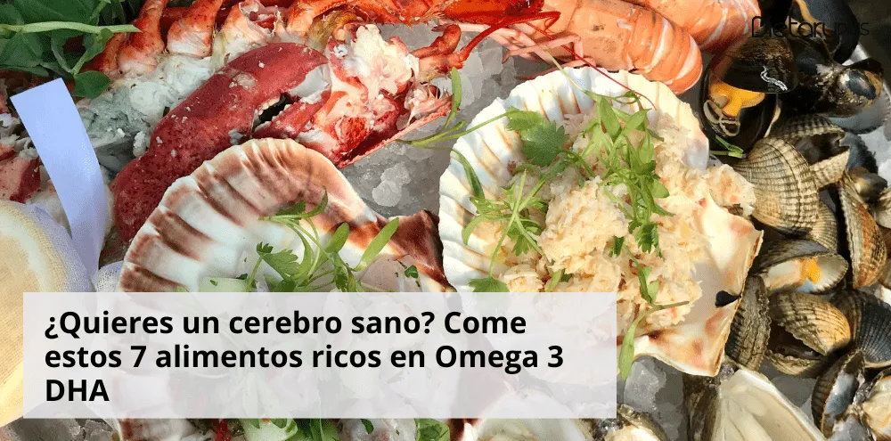 ¿Quieres un cerebro sano? Come estos 7 alimentos ricos en Omega 3 DHA