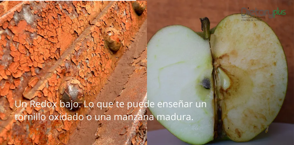 Un Redox bajo. Lo que te puede enseñar un tornillo oxidado o una manzana madura.