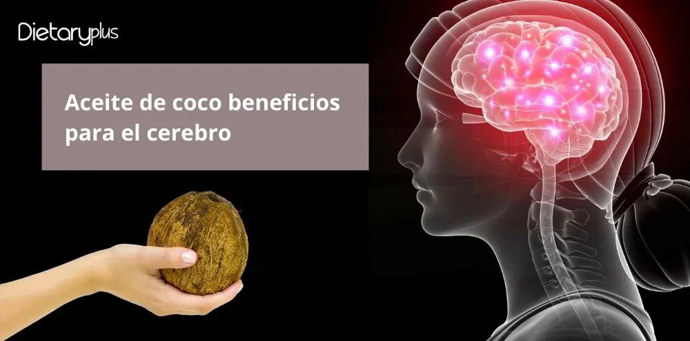 Aceite de coco beneficios para el cerebro