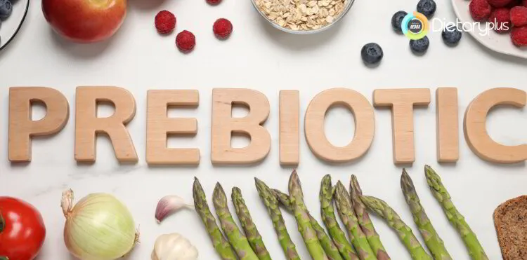Alimentos Prebióticos : La Clave para una Flora Intestinal Saludable
