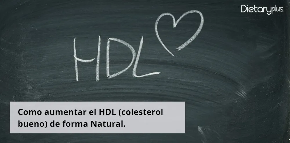 Como aumentar el HDL (colesterol bueno) de forma Natural. 