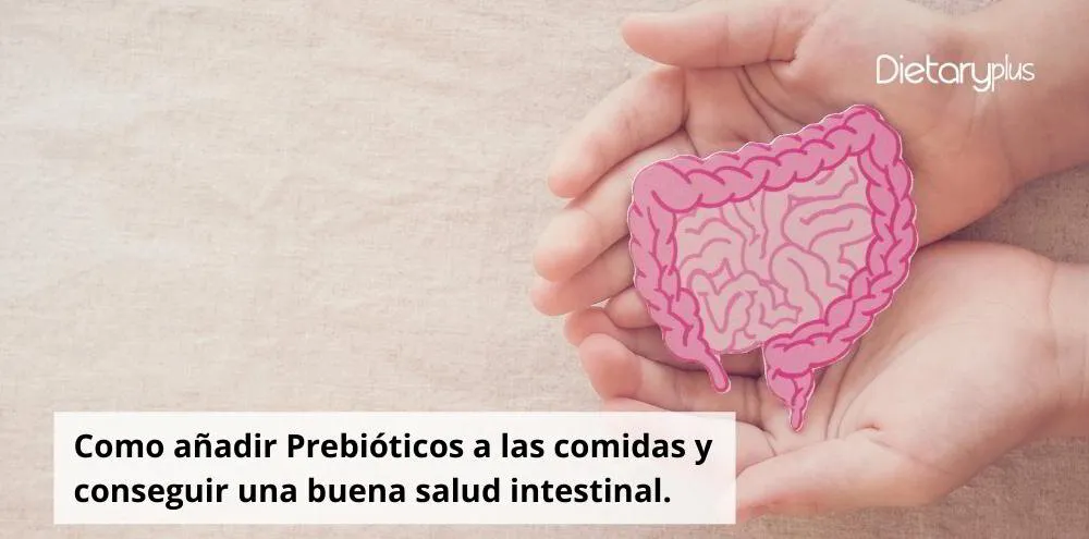 Como añadir Prebióticos a las comidas y conseguir una buena salud intestinal