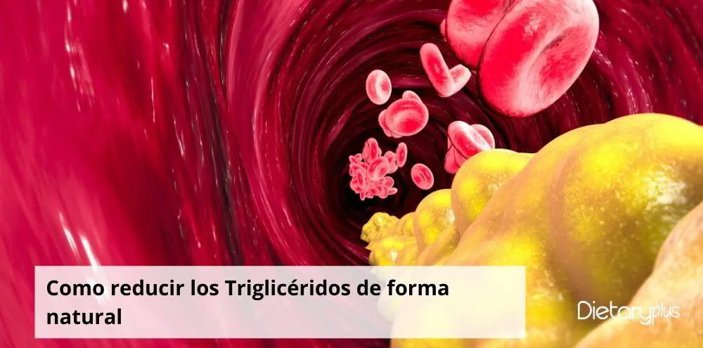 Cómo Reducir los Triglicéridos de forma Natural 