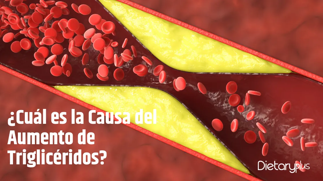 ¿Cuál es la Causa del Aumento de Triglicéridos?