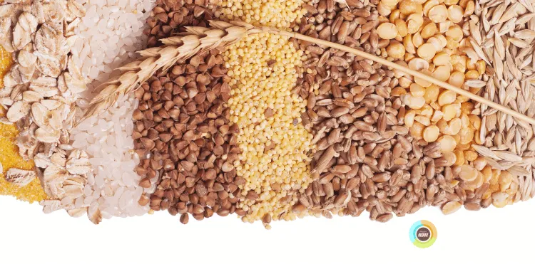 Dieta Mediterránea Un Enfoque Saludable y Equilibrado para Mejorar tu Bienestar