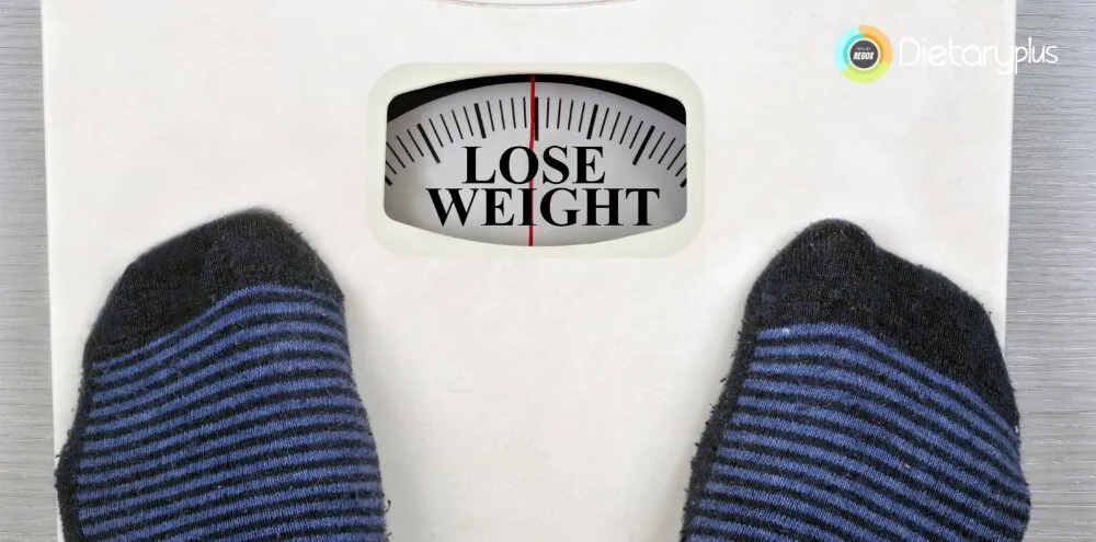 Las Mejores Dietas para Bajar de Peso en 2024: Descubre la mejor