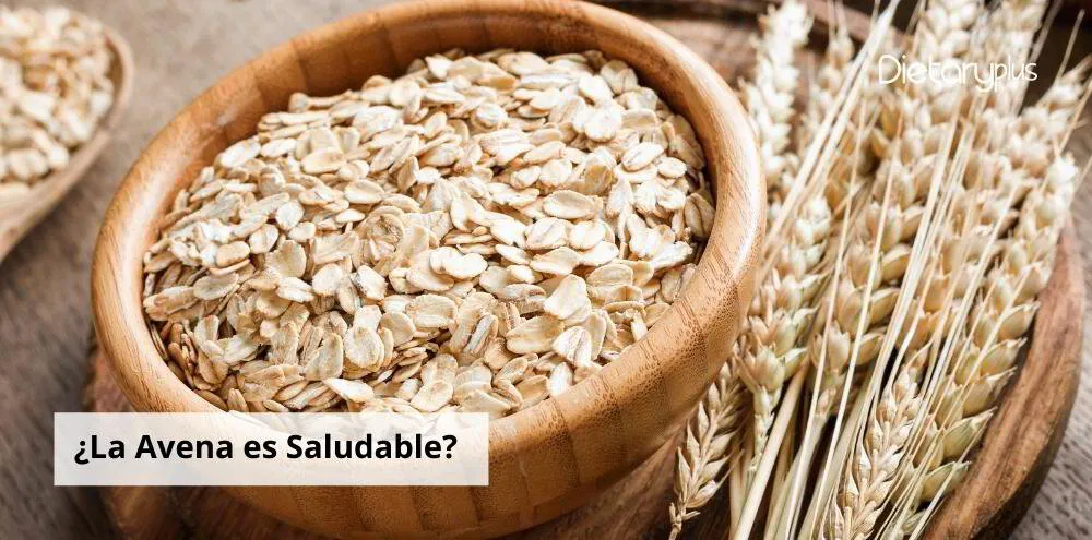 La Avena: ¿Es Verdaderamente una Opción Saludable para tu Dieta?