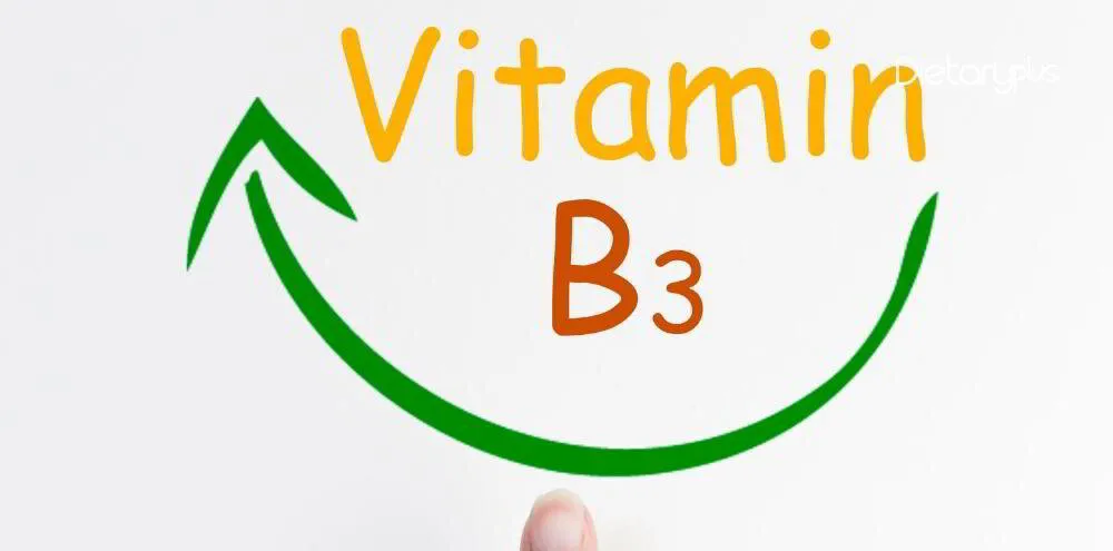 Vitamina B3 o niacina
