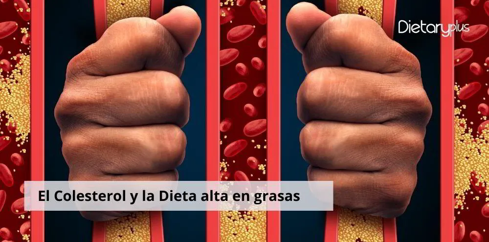 La Dieta alta en grasas y el Colesterol