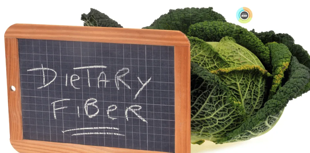 El Papel Fundamental de las Fibras Dietéticas en una Alimentación Equilibrada