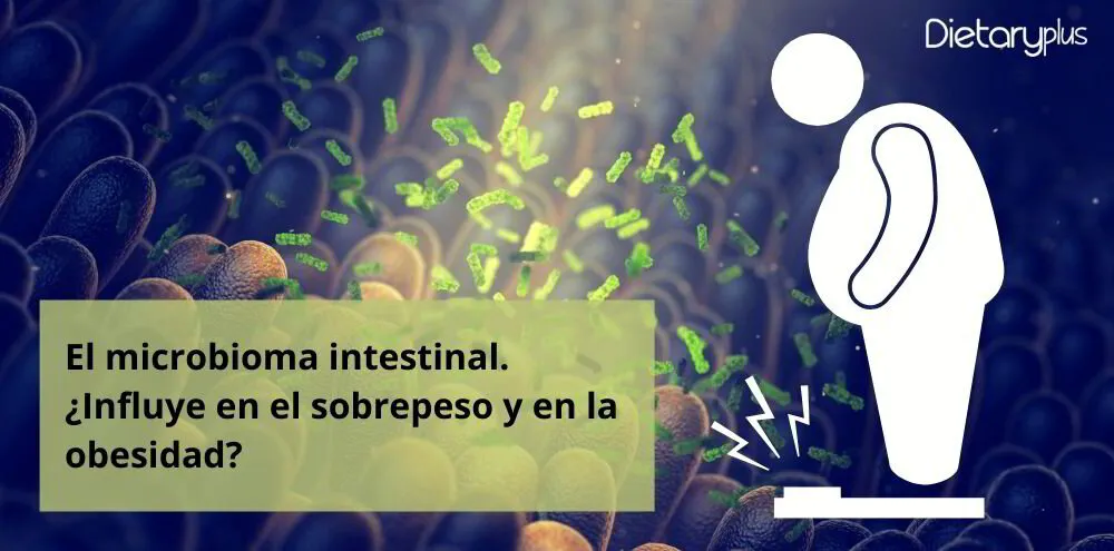 El microbioma intestinal. ¿Influye en el sobrepeso y en la obesidad?