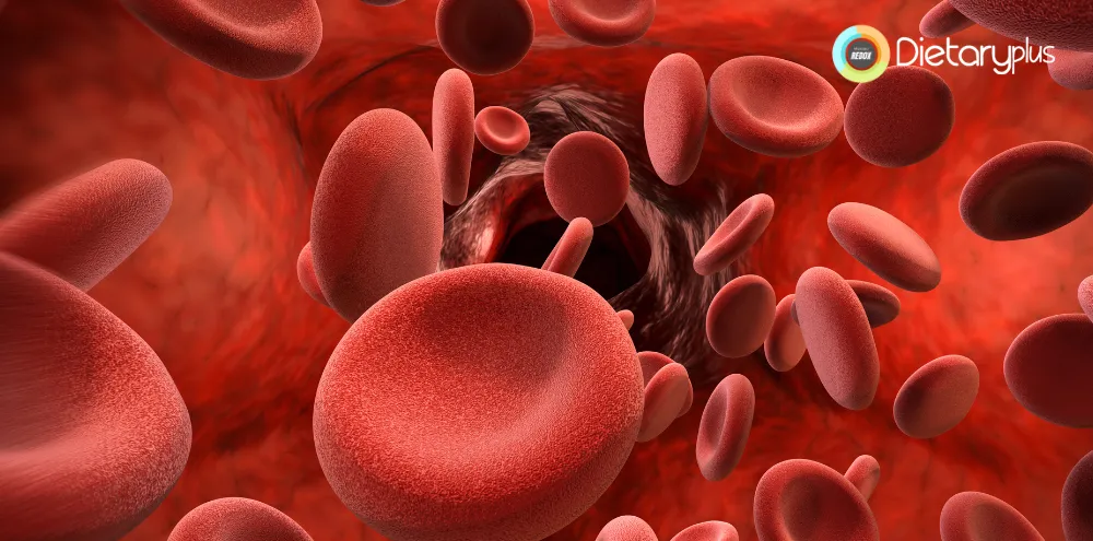 Factores que contribuyen al SIBO y la endotoxemia