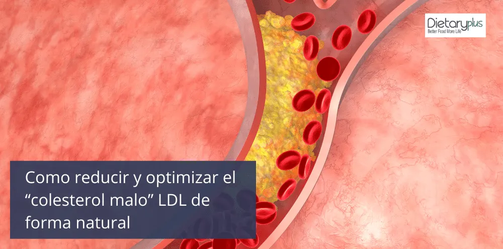 Como reducir y optimizar el “colesterol malo” LDL de forma natural