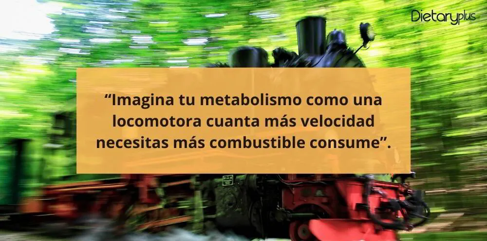 Metabolismo como locomotora, a más combustible más velocidad