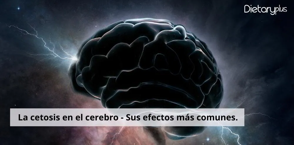 La cetosis en el cerebro - Sus efectos beneficiosos.