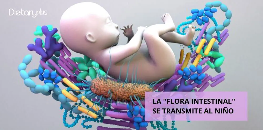 LA FLORA INTESTINAL  SE TRANSMITE AL NIÑO