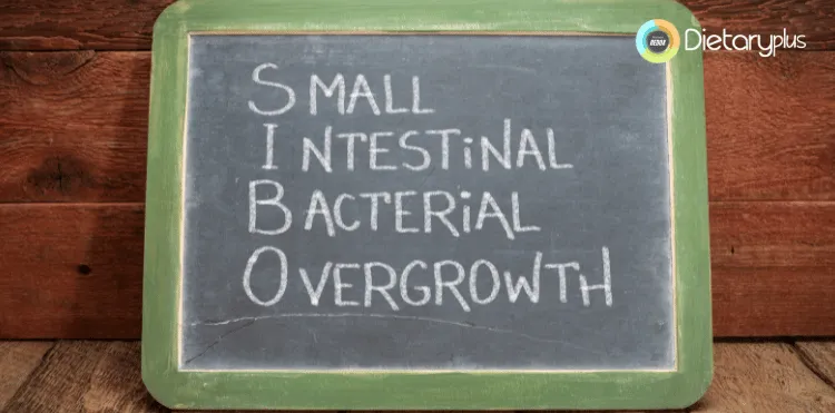 ❤️ Nutricionista SIBO Zaragoza: Transformando Vidas con el Método Redox